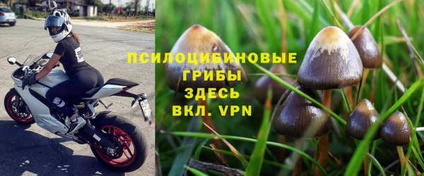 2c-b Абдулино
