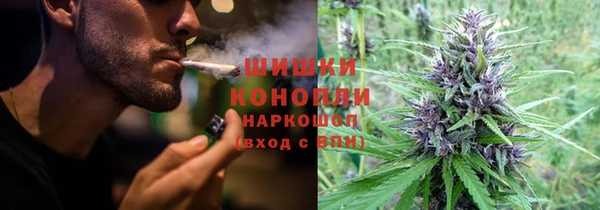 ешки Алзамай