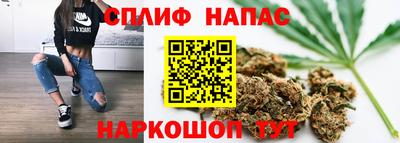 прущие крисы Изобильный